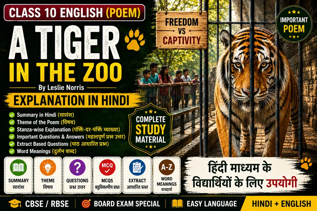 A Tiger in the Zoo Explanation in Hindi & English